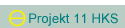 Projekt 11 HKS