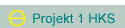 Projekt 1 HKS