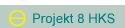 Projekt 8 HKS