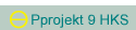 Pprojekt 9 HKS