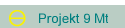 Projekt 9 Mt