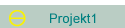 Projekt1