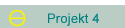 Projekt 4