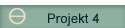 Projekt 4