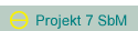 Projekt 7 SbM