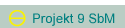 Projekt 9 SbM